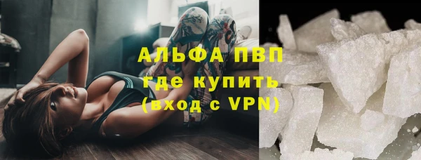 стафф Фёдоровский