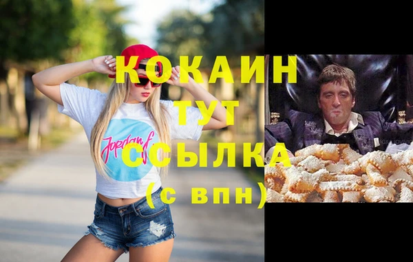 стафф Фёдоровский