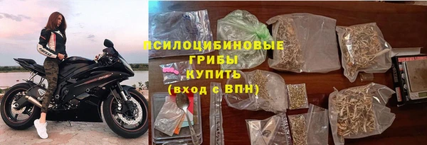 стафф Фёдоровский