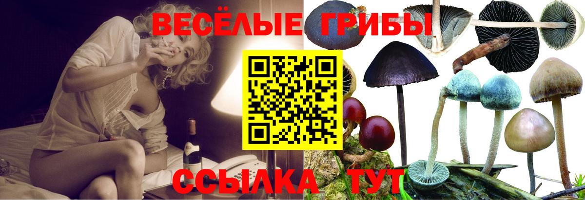 Псилоцибиновые грибы мухоморы Белебей