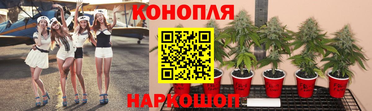МАРИХУАНА OG Kush  Марихуана THC 21%  Марихуана семена  Белебей  Вход с VPN 